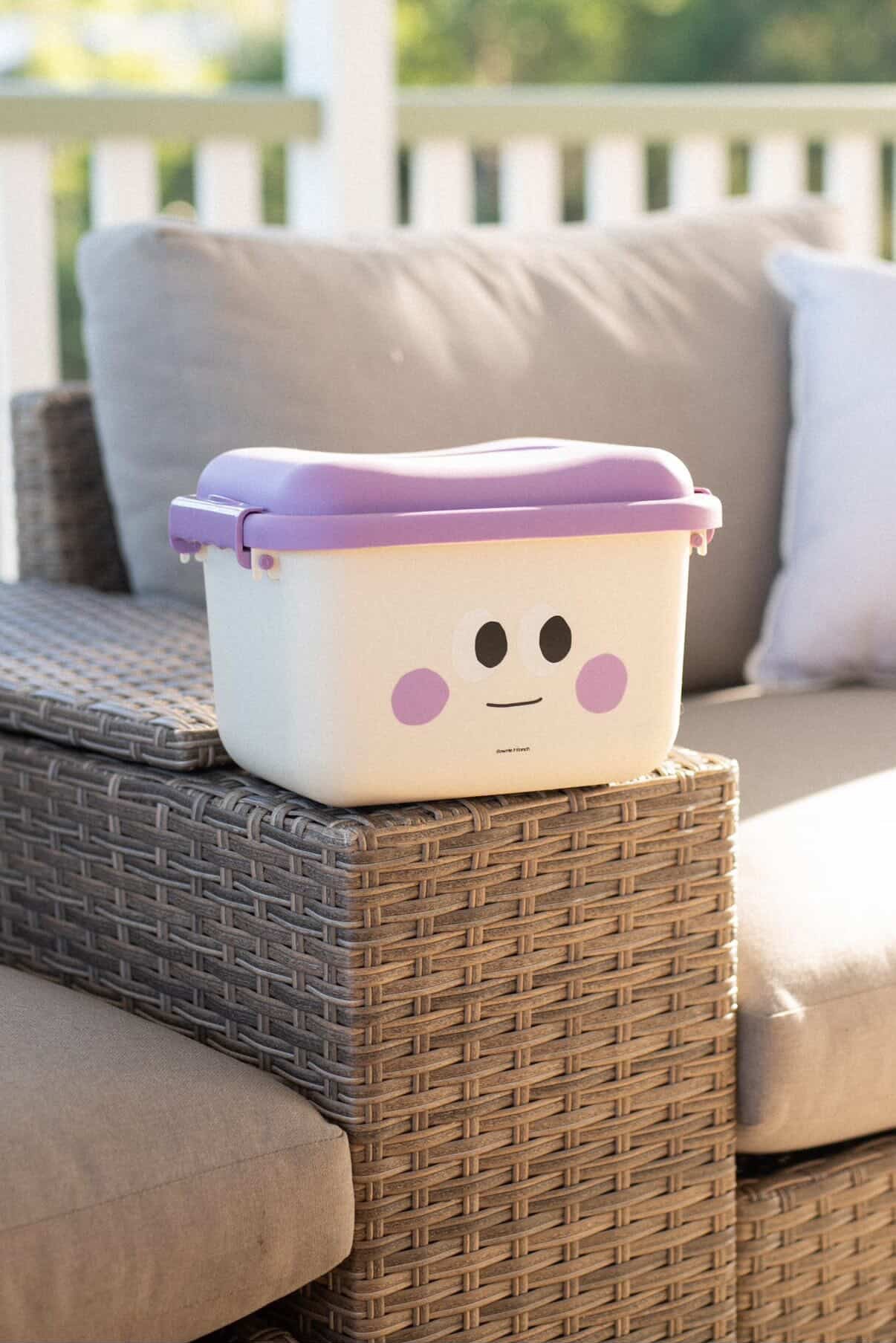 Scoot & Store Desk Caddy - Stella