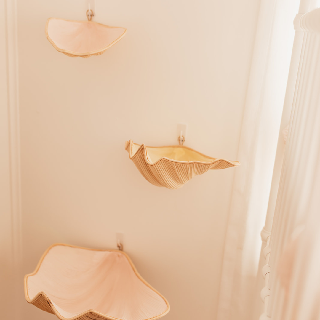 Clam Shells (use as shelves or decoration) - Pink - Set of 3