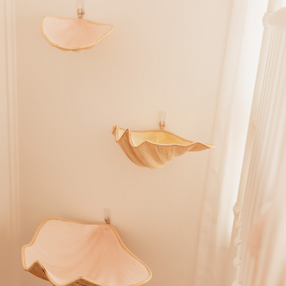 Clam Shells (use as shelves or decoration) - Pink - Set of 3