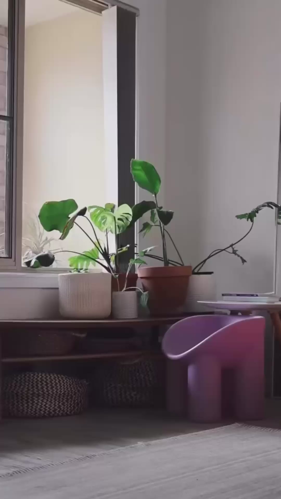 Limited Edition - Upright Replica Roly Chairs - Merry Berry